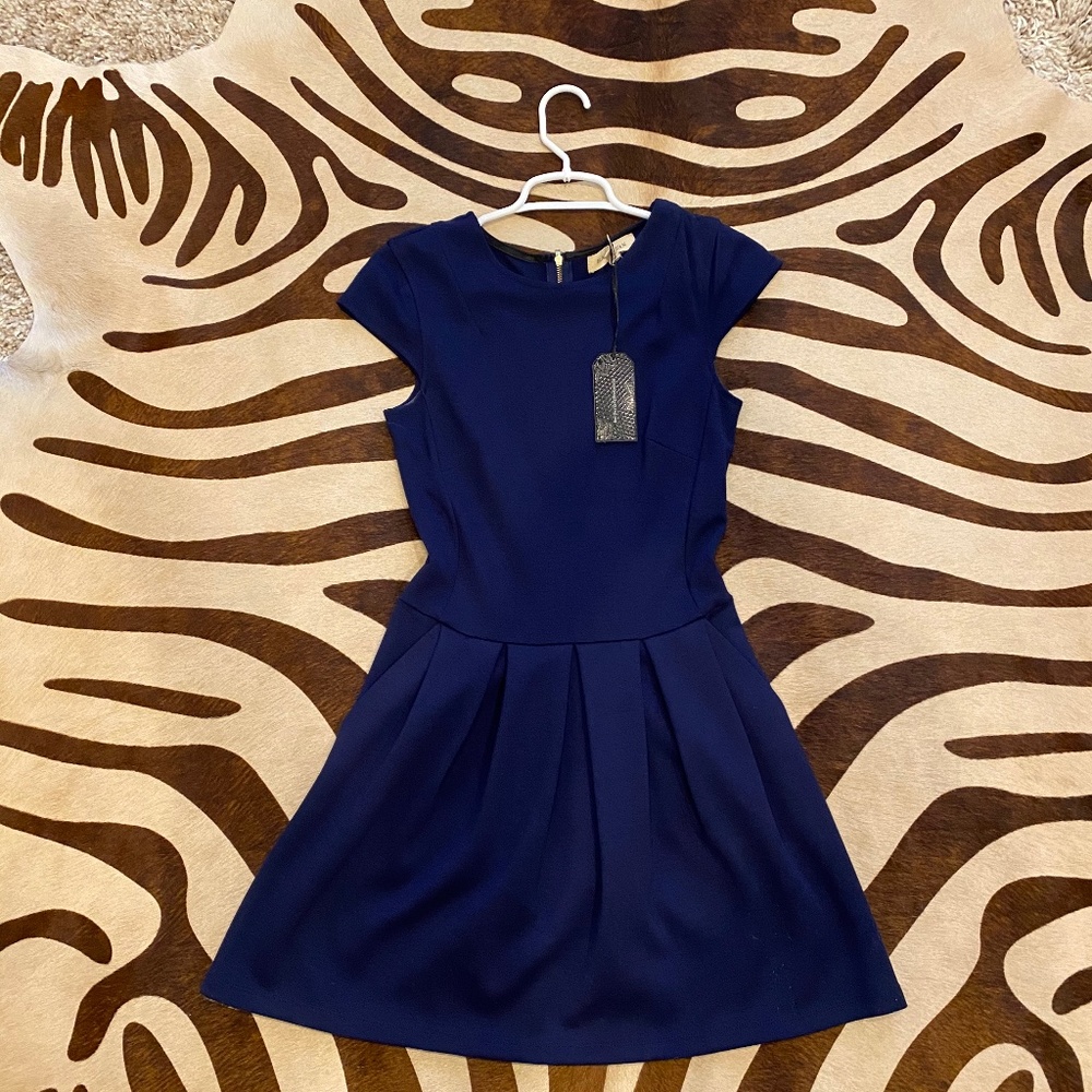 Black swan skater dress